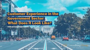 customer experience government public sector