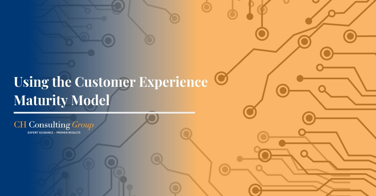 customer experience maturity model