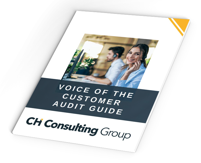Voice of the Customer Audit Guide Mockup Image