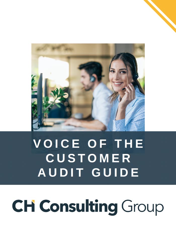Voice of the Customer Audit Guide Preview One